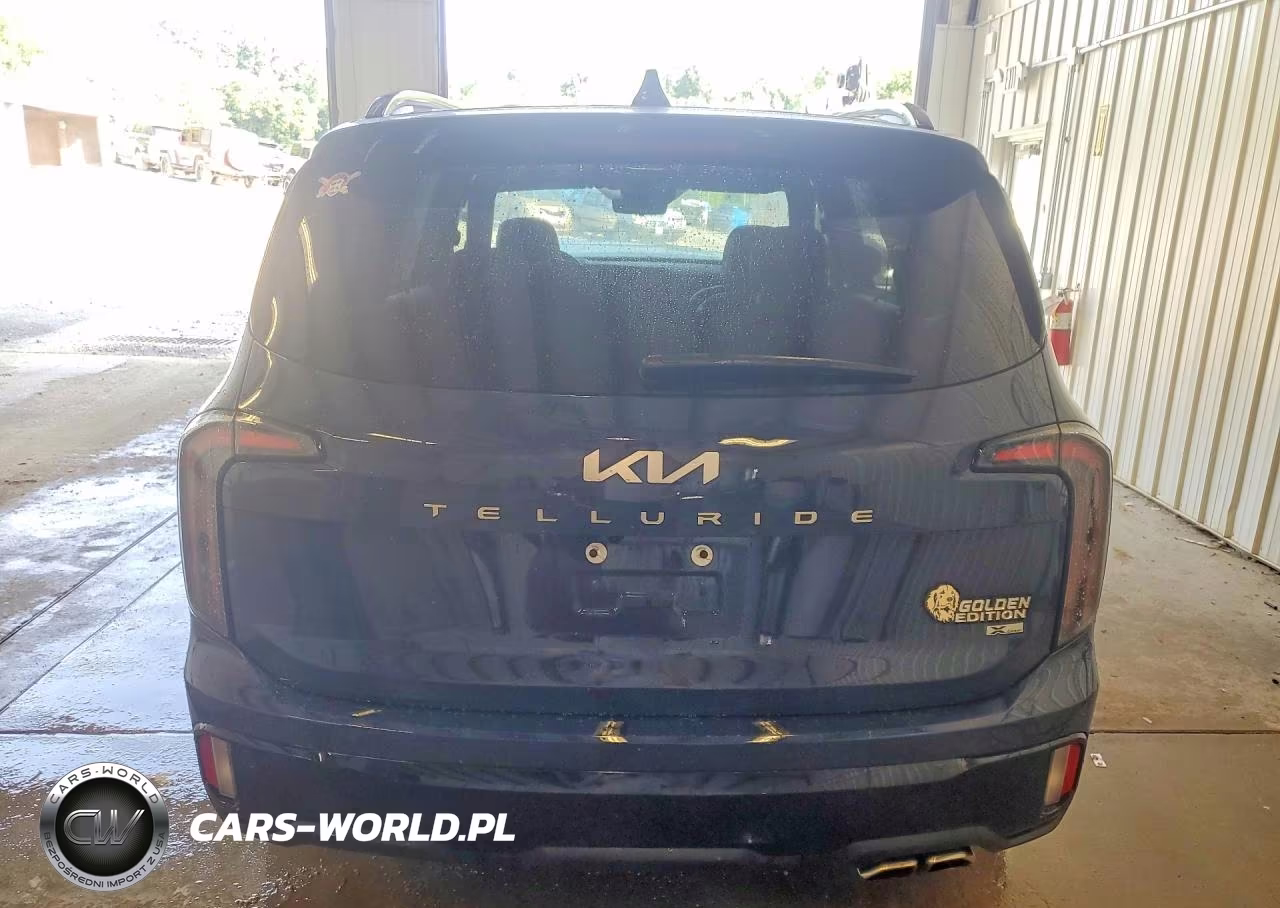2024 Kia Telluride Sx-Prestige X-Line VIN:5XYP5DGC7RG537902 - 6