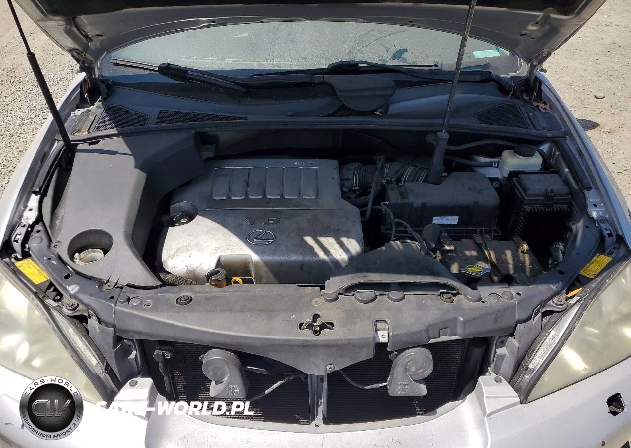 2009 Lexus Rx 350 VIN:2T2GK31U09C066638 - 12