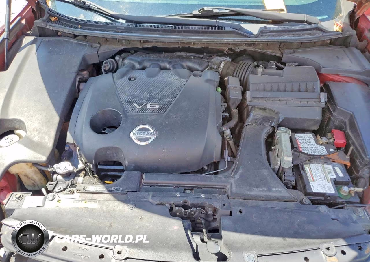 2009 Nissan Maxima 3.5 S VIN:1N4AA51E49C820379 - 11