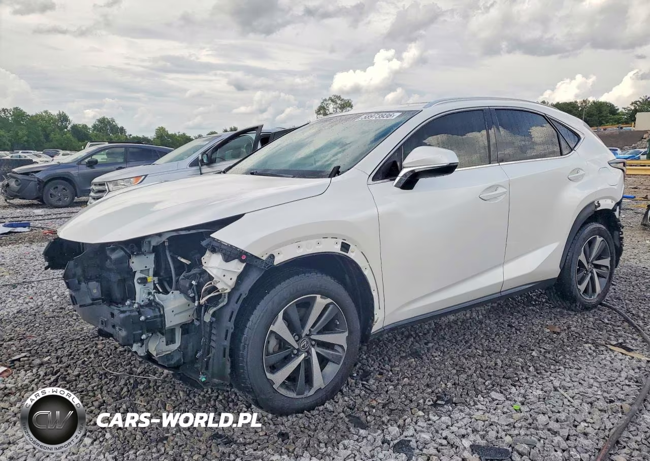 2019 Lexus Nx 300 Base