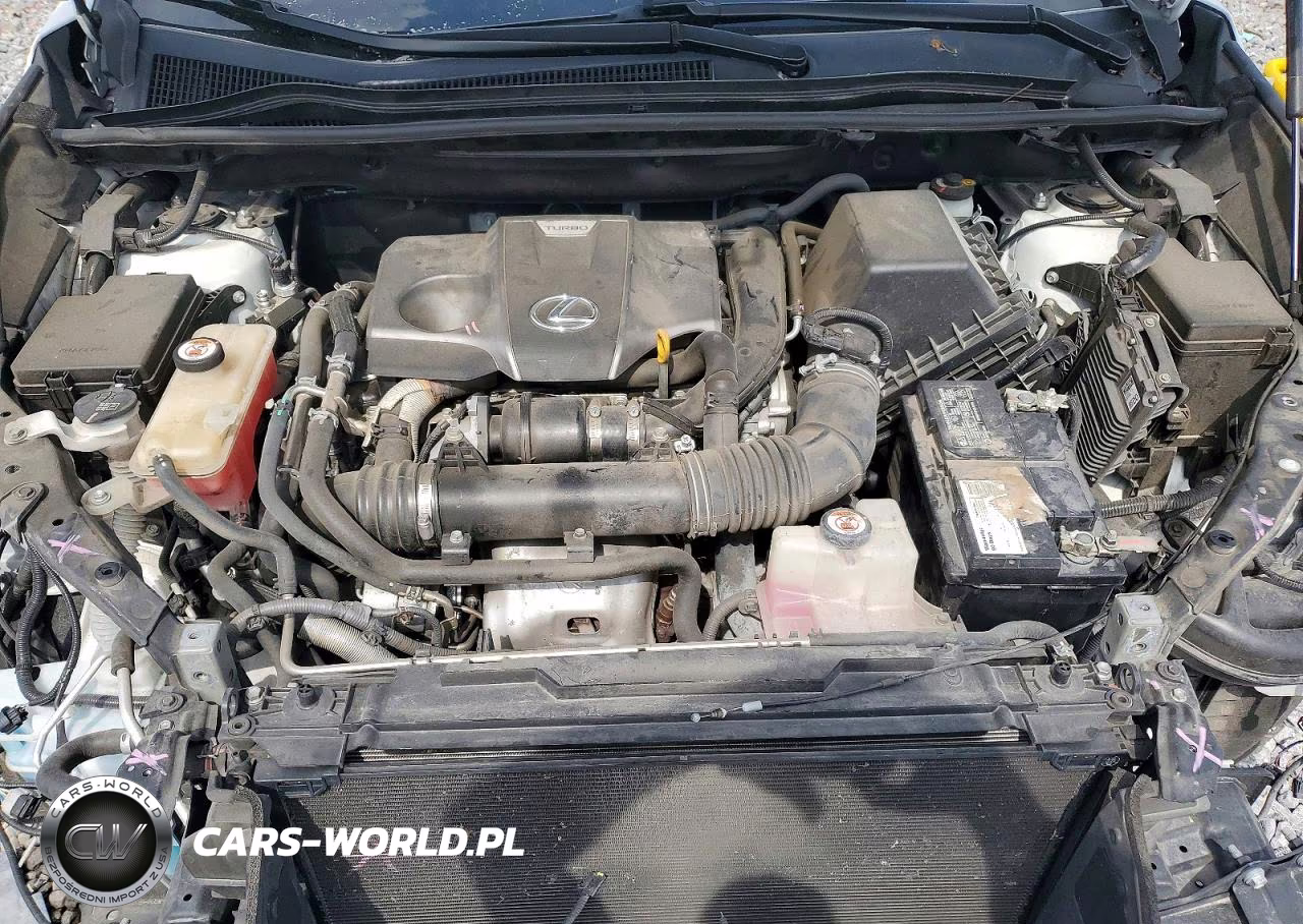2019 Lexus Nx 300 Base VIN:JTJBARBZ4K2211843 - 12
