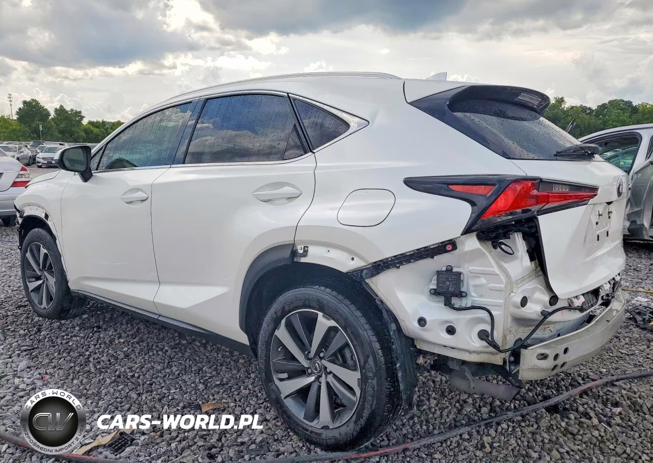 2019 Lexus Nx 300 Base VIN:JTJBARBZ4K2211843 - 2