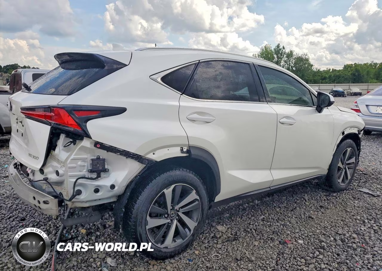 2019 Lexus Nx 300 Base VIN:JTJBARBZ4K2211843 - 3