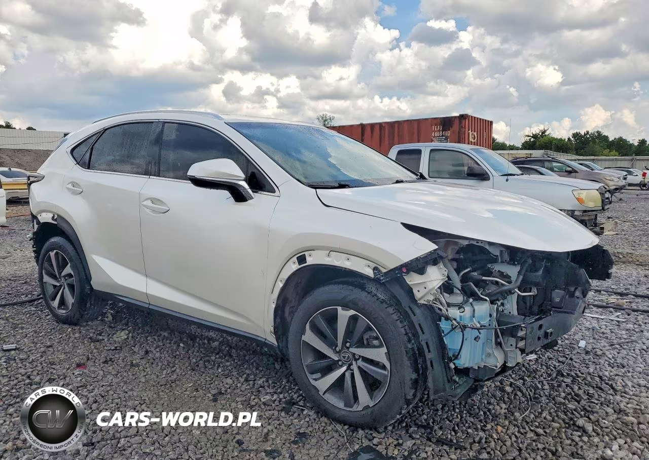 2019 Lexus Nx 300 Base VIN:JTJBARBZ4K2211843 - 4