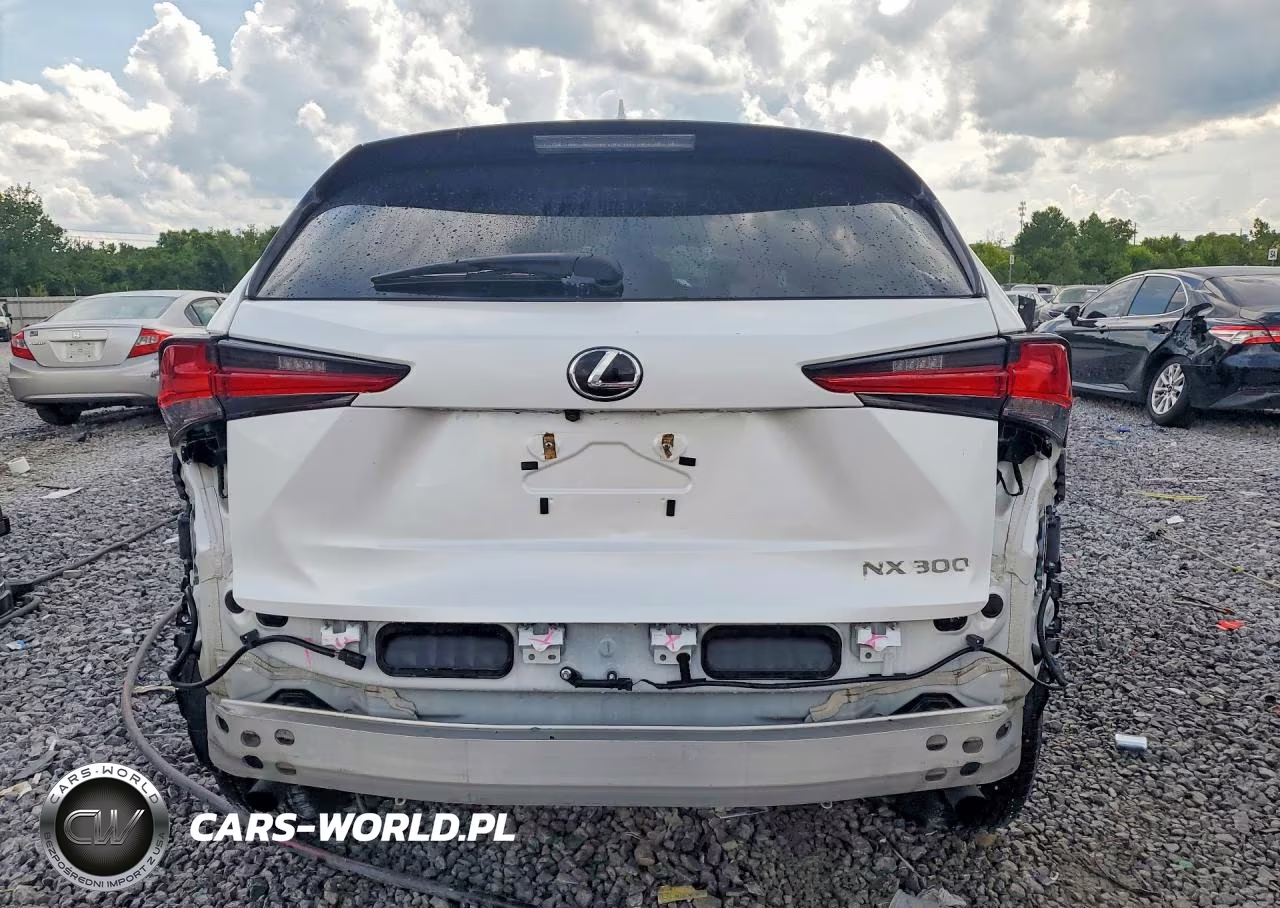 2019 Lexus Nx 300 Base VIN:JTJBARBZ4K2211843 - 6