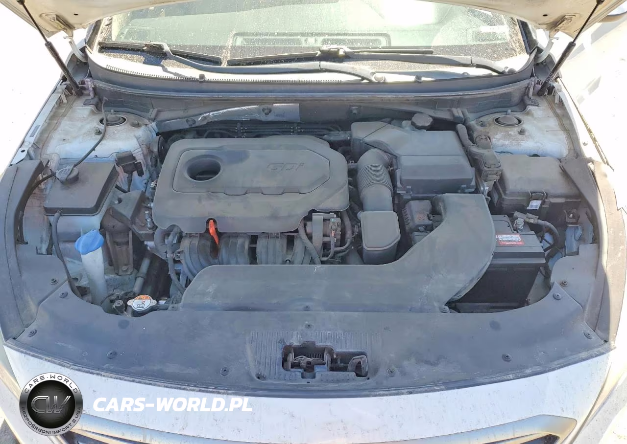 2015 Hyundai Sonata Se VIN:5NPE24AF7FH123266 - 11