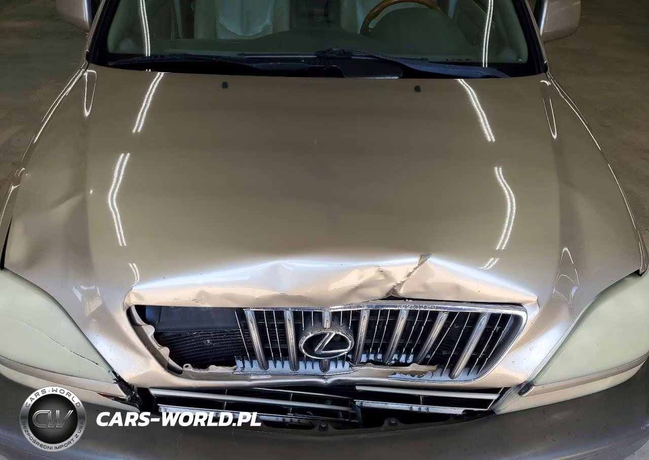 2003 Lexus Rx 300 VIN:JTJHF10U630295035 - 12