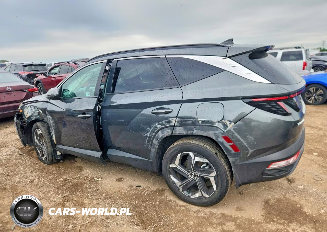 2024 Hyundai Tucson Sel Convenience VIN:KM8JCCD17RU203873 - 2