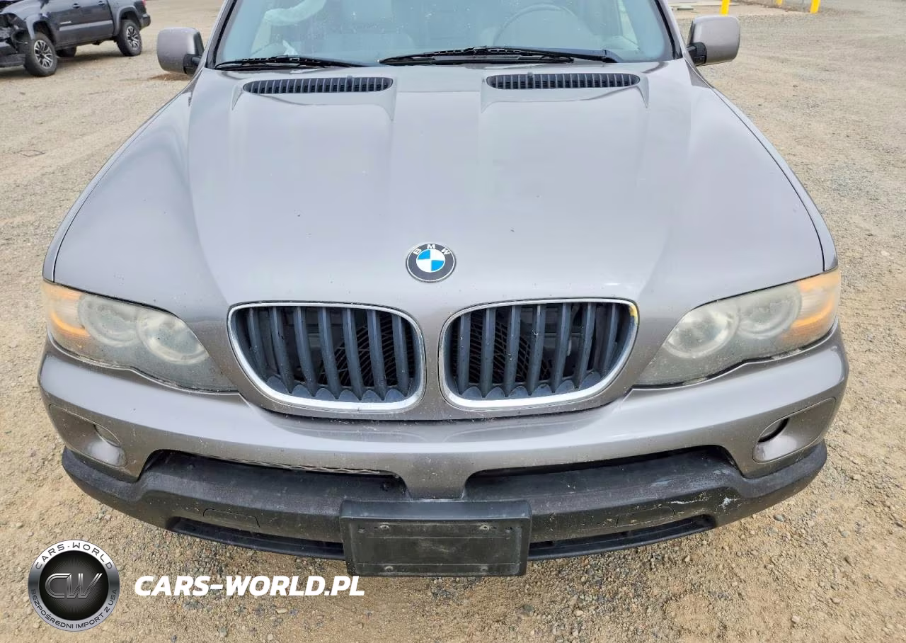 2006 BMW X5 3.0I VIN:5UXFA13566LY42416 - 11