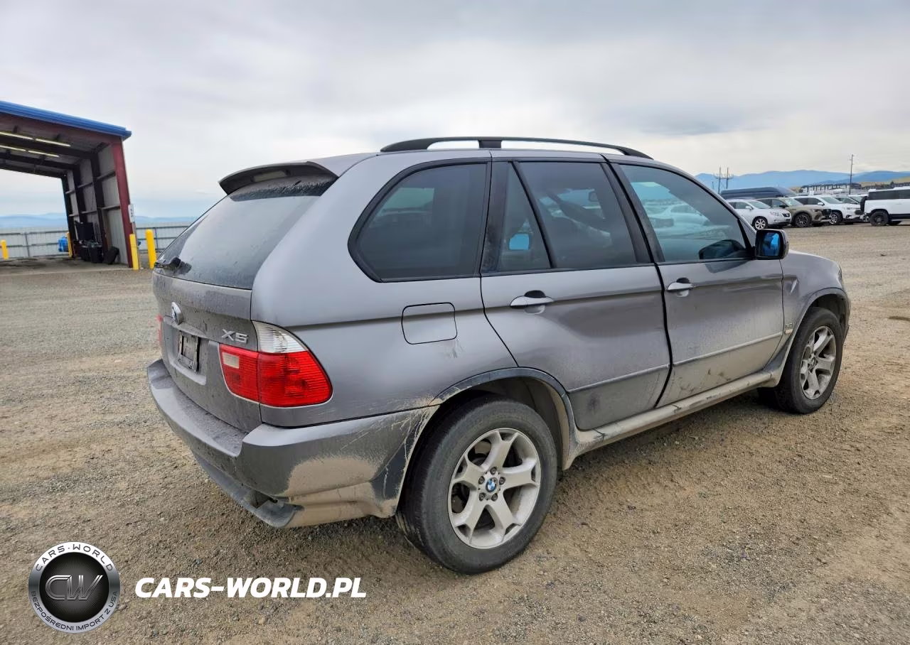 2006 BMW X5 3.0I VIN:5UXFA13566LY42416 - 3