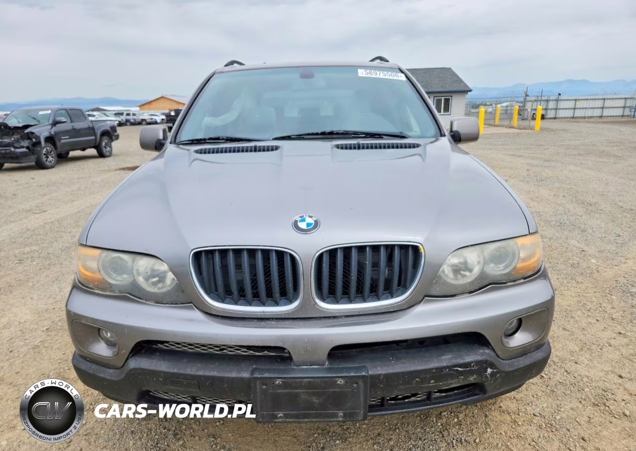 2006 BMW X5 3.0I VIN:5UXFA13566LY42416 - 5