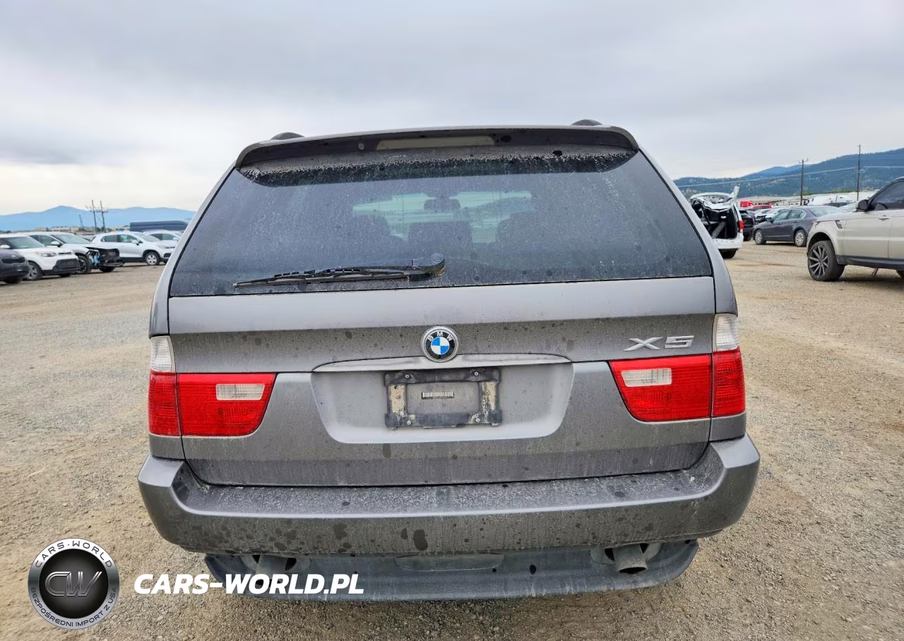 2006 BMW X5 3.0I VIN:5UXFA13566LY42416 - 6