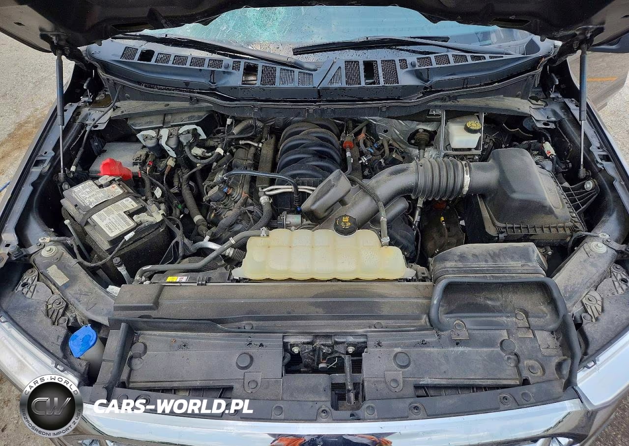 2021 Ford F150 Supercrew VIN:1FTFW1E55MFB54502 - 11