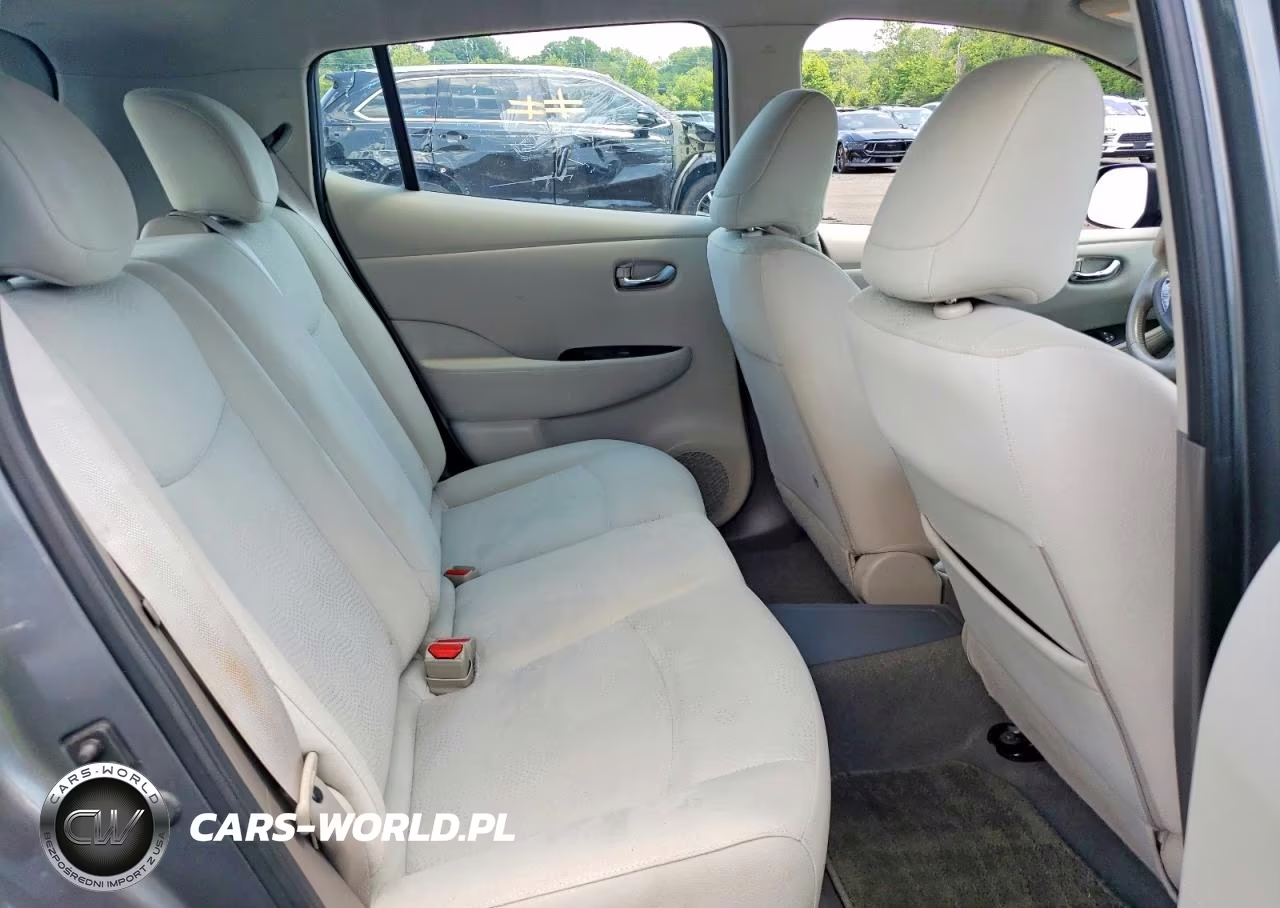 2014 Nissan Leaf Sv VIN:1N4AZ0CP8EC333013 - 10
