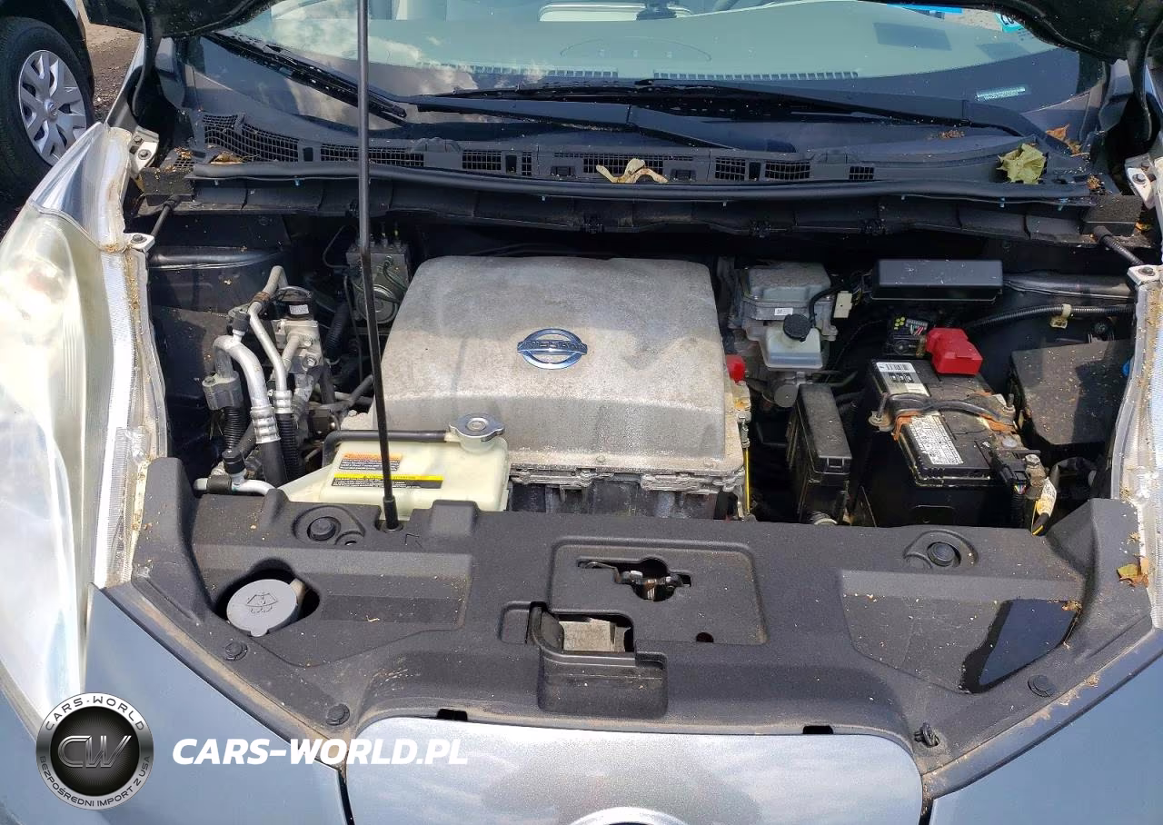 2014 Nissan Leaf Sv VIN:1N4AZ0CP8EC333013 - 11