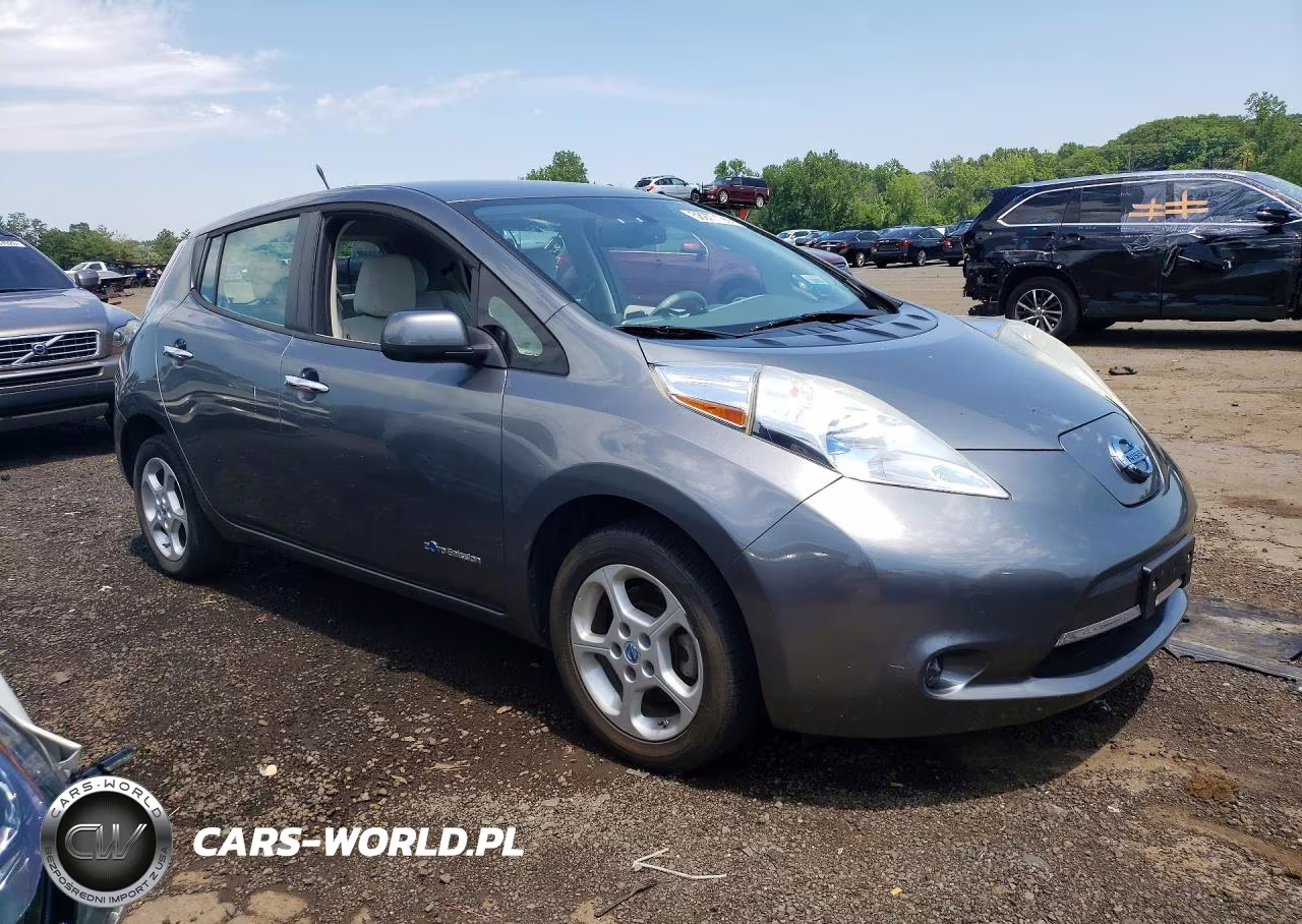 2014 Nissan Leaf Sv VIN:1N4AZ0CP8EC333013 - 4