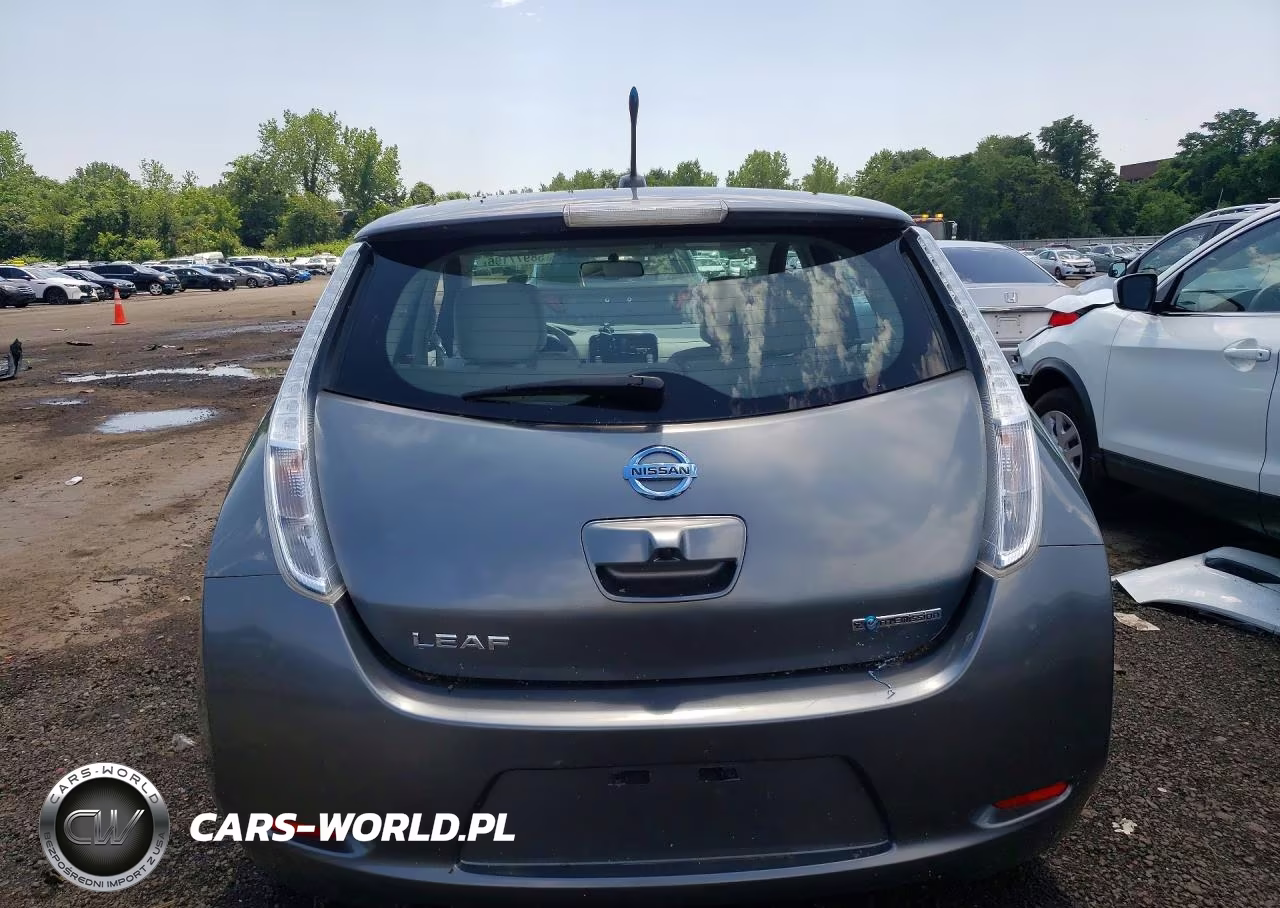 2014 Nissan Leaf Sv VIN:1N4AZ0CP8EC333013 - 6