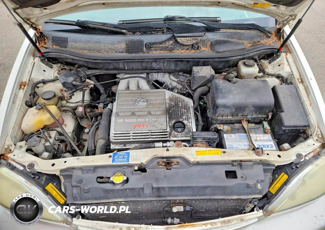 2002 Lexus Rx 300 VIN:JTJHF10U220267554 - 12