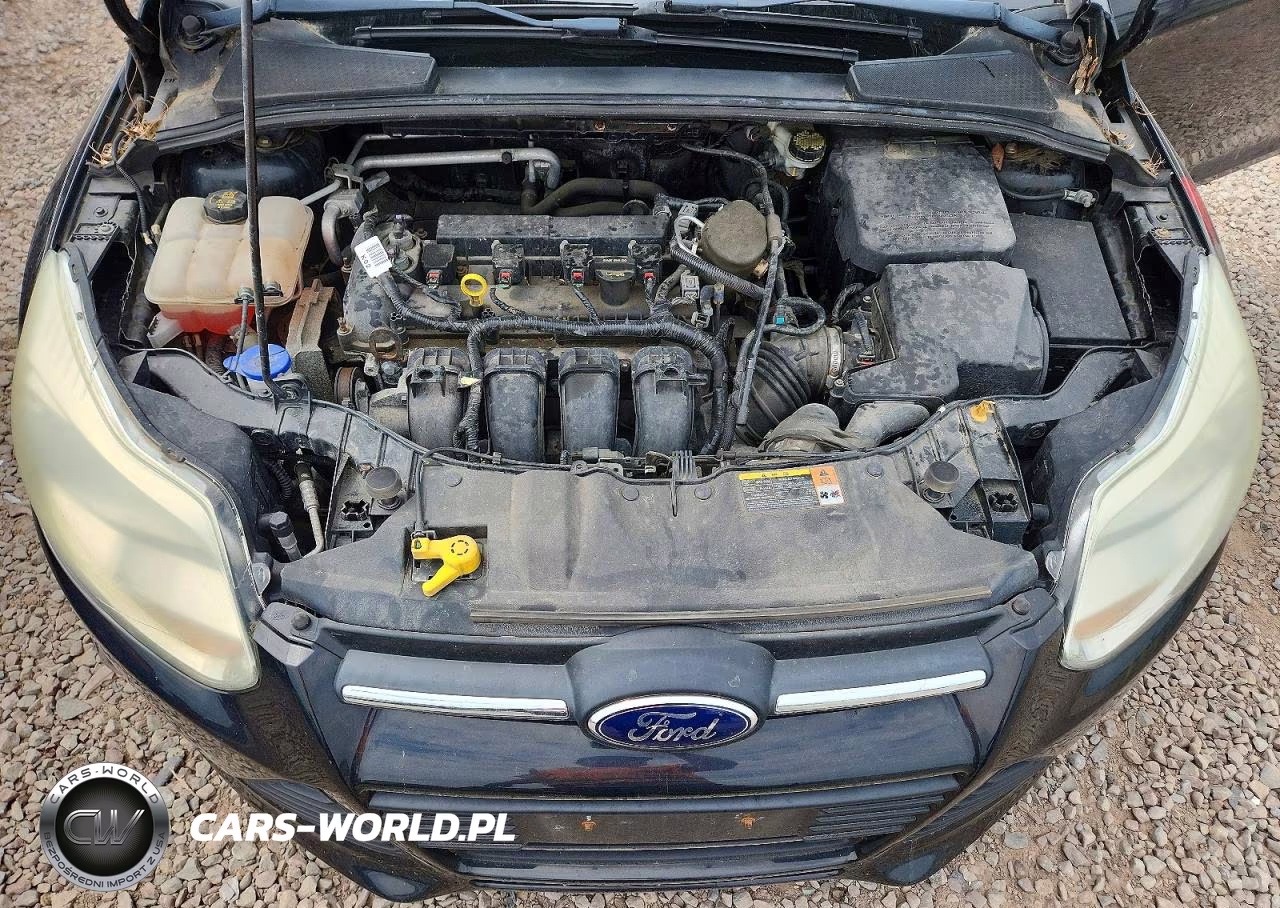 2014 Ford Focus Se VIN:1FADP3K22EL201665 - 11