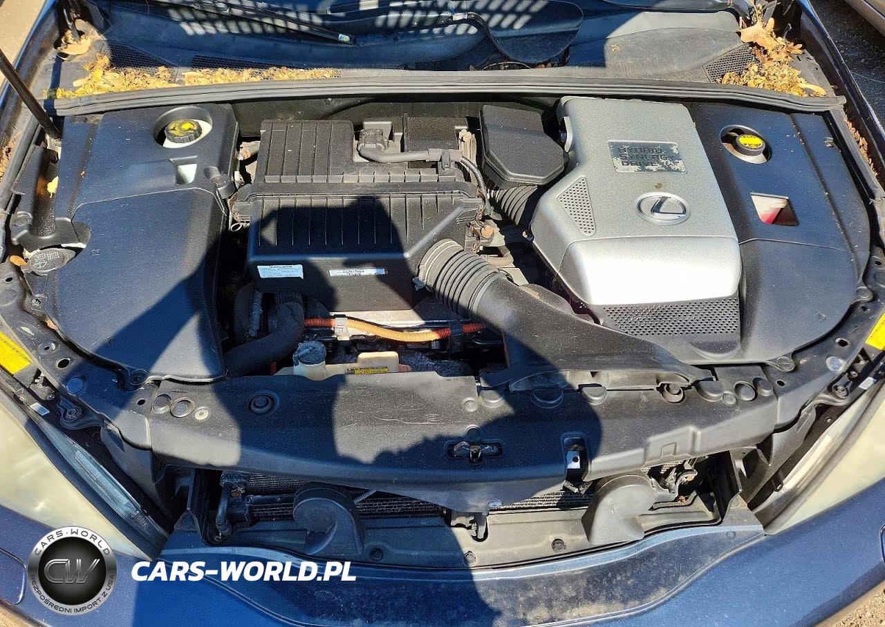 2006 Lexus Rx 400 VIN:JTJHW31U360025307 - 11
