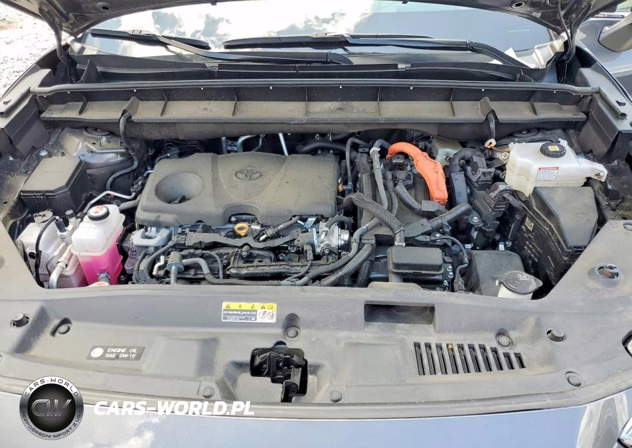 2024 Toyota Highlander Hybrid Platinum VIN:5TDEBRCH8RS619297 - 12