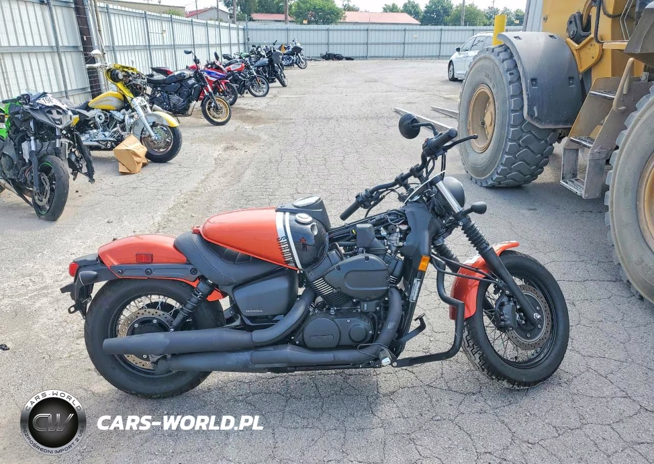 2024 Honda Vt750 C2B VIN:JH2RC53E2RK000268 - 1