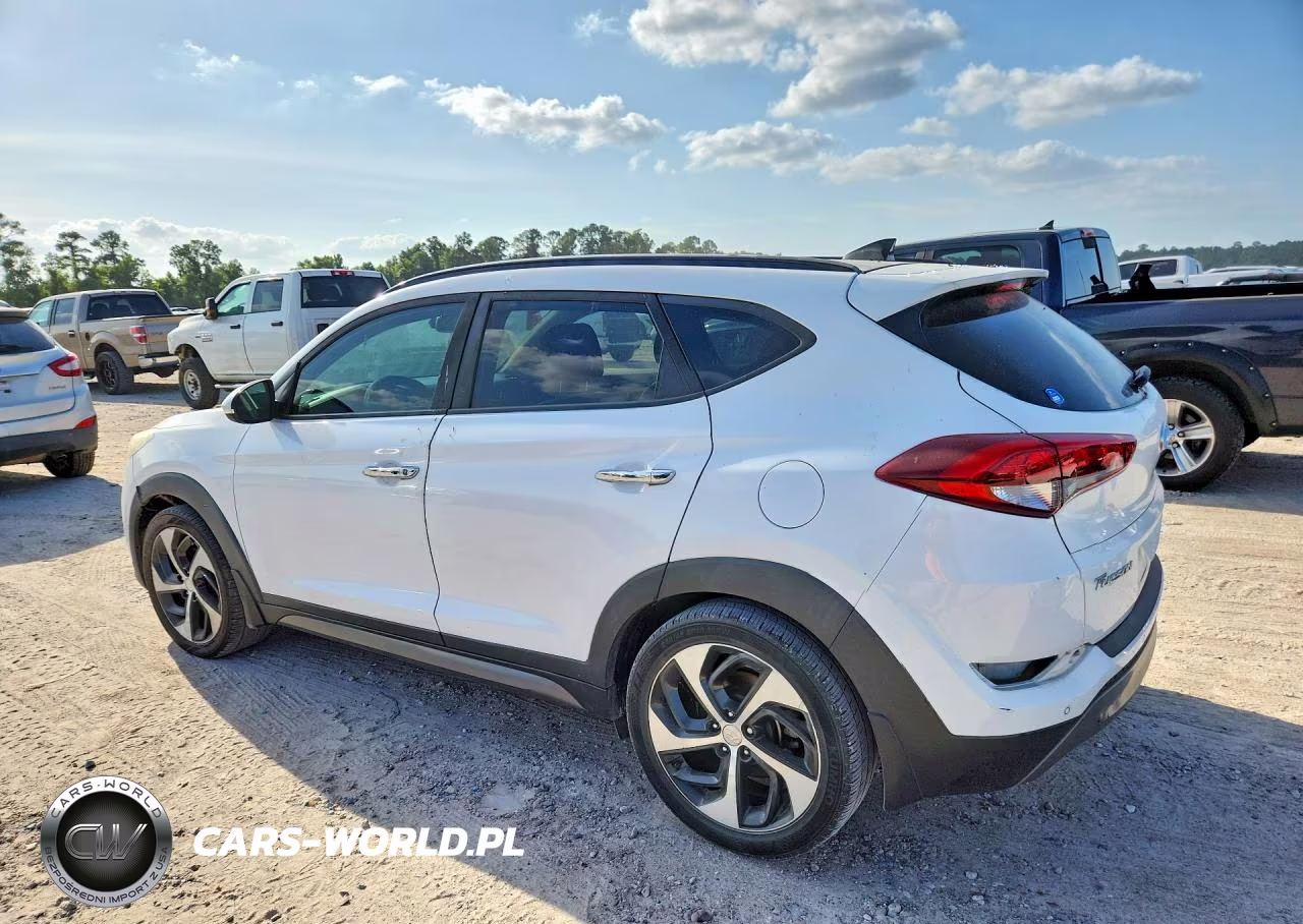 2016 Hyundai Tucson Limited VIN:KM8J33A29GU253233 - 2