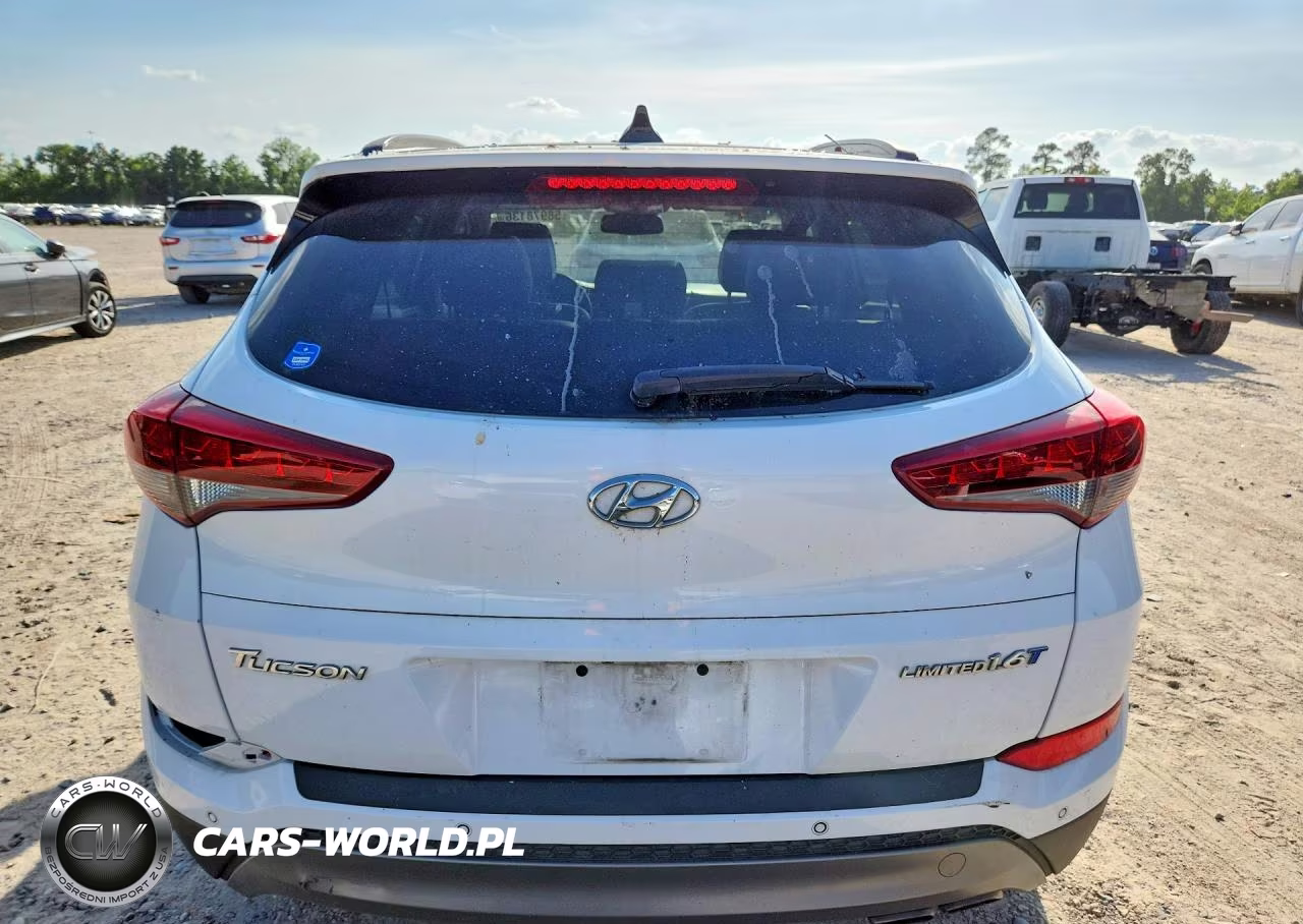 2016 Hyundai Tucson Limited VIN:KM8J33A29GU253233 - 6