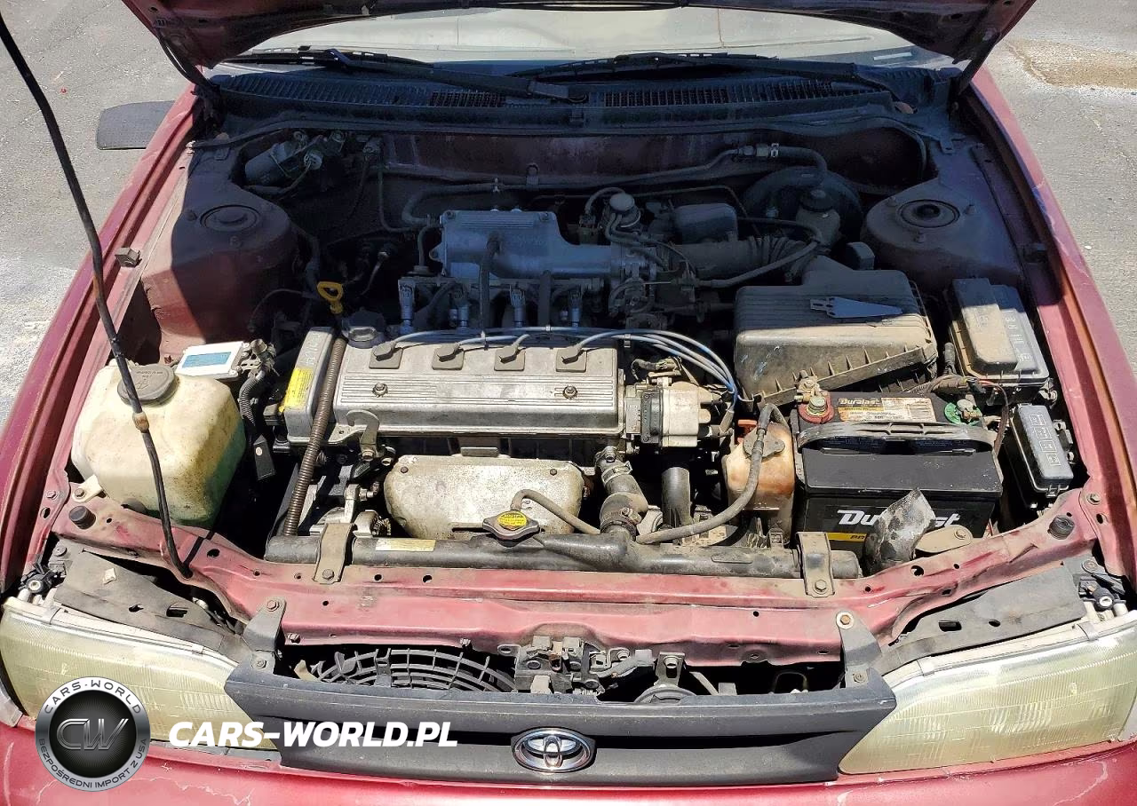 1997 Toyota Corolla Base VIN:1NXBA02E6VZ586858 - 11