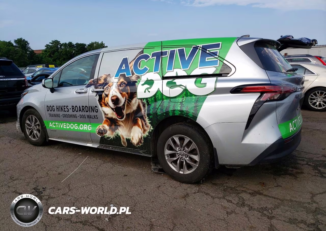 2021 Toyota Sienna Xle VIN:5TDYSKFC1MS020383 - 2