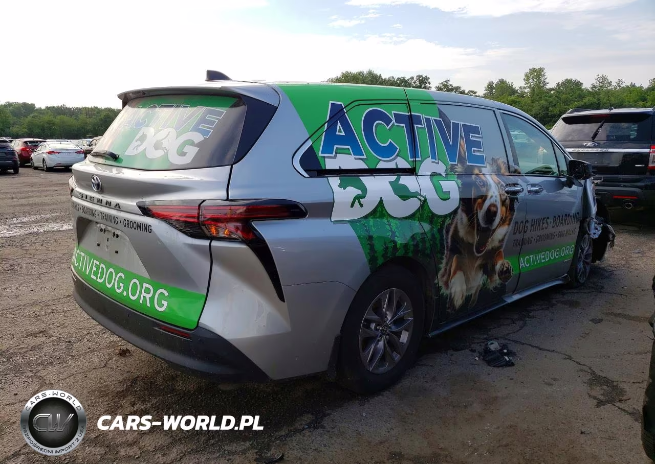 2021 Toyota Sienna Xle VIN:5TDYSKFC1MS020383 - 3