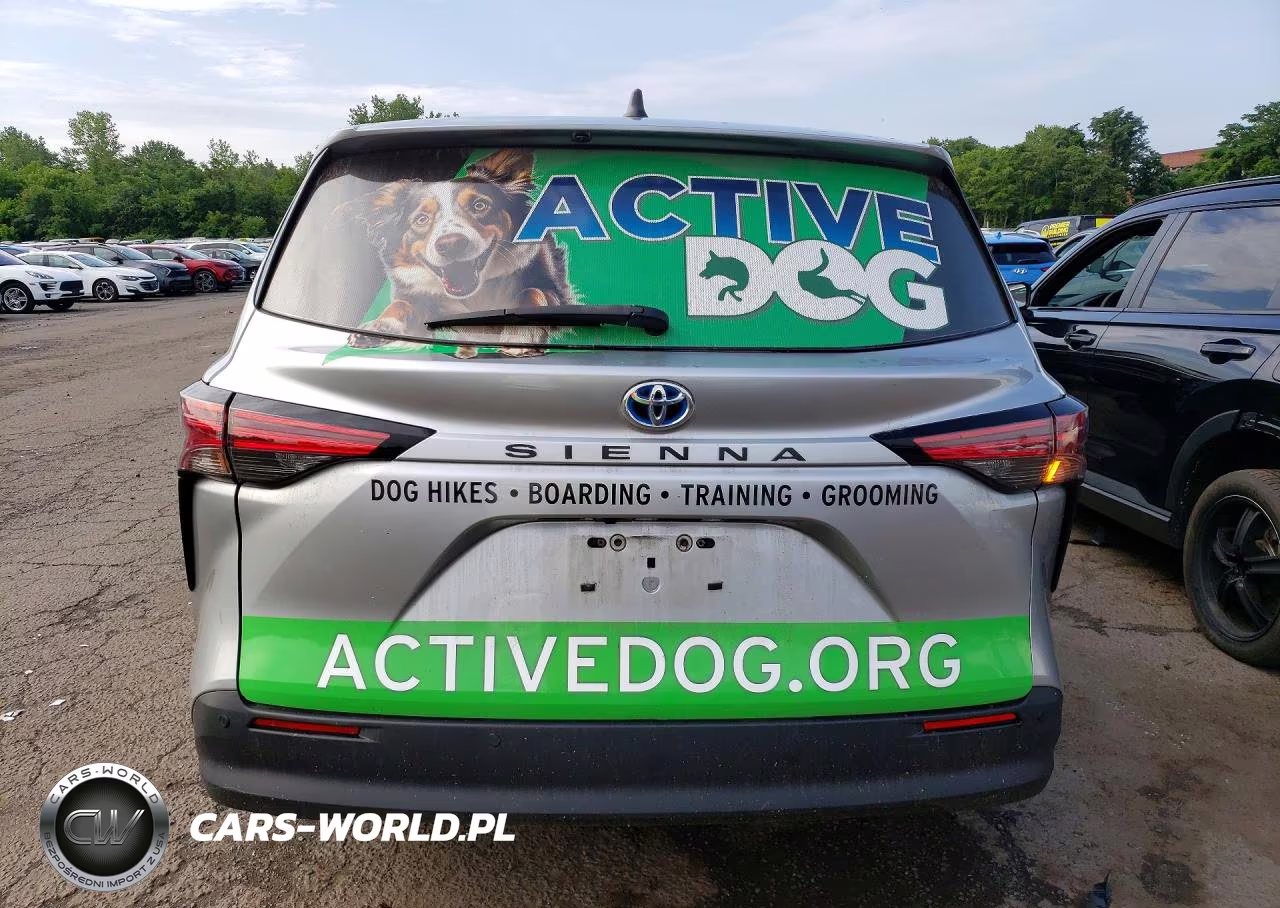 2021 Toyota Sienna Xle VIN:5TDYSKFC1MS020383 - 6