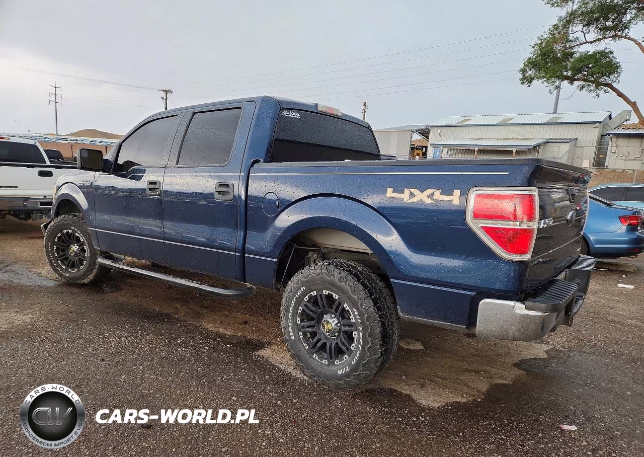 2013 Ford F150 Supercrew VIN:1FTFW1EFXDKD07942 - 2