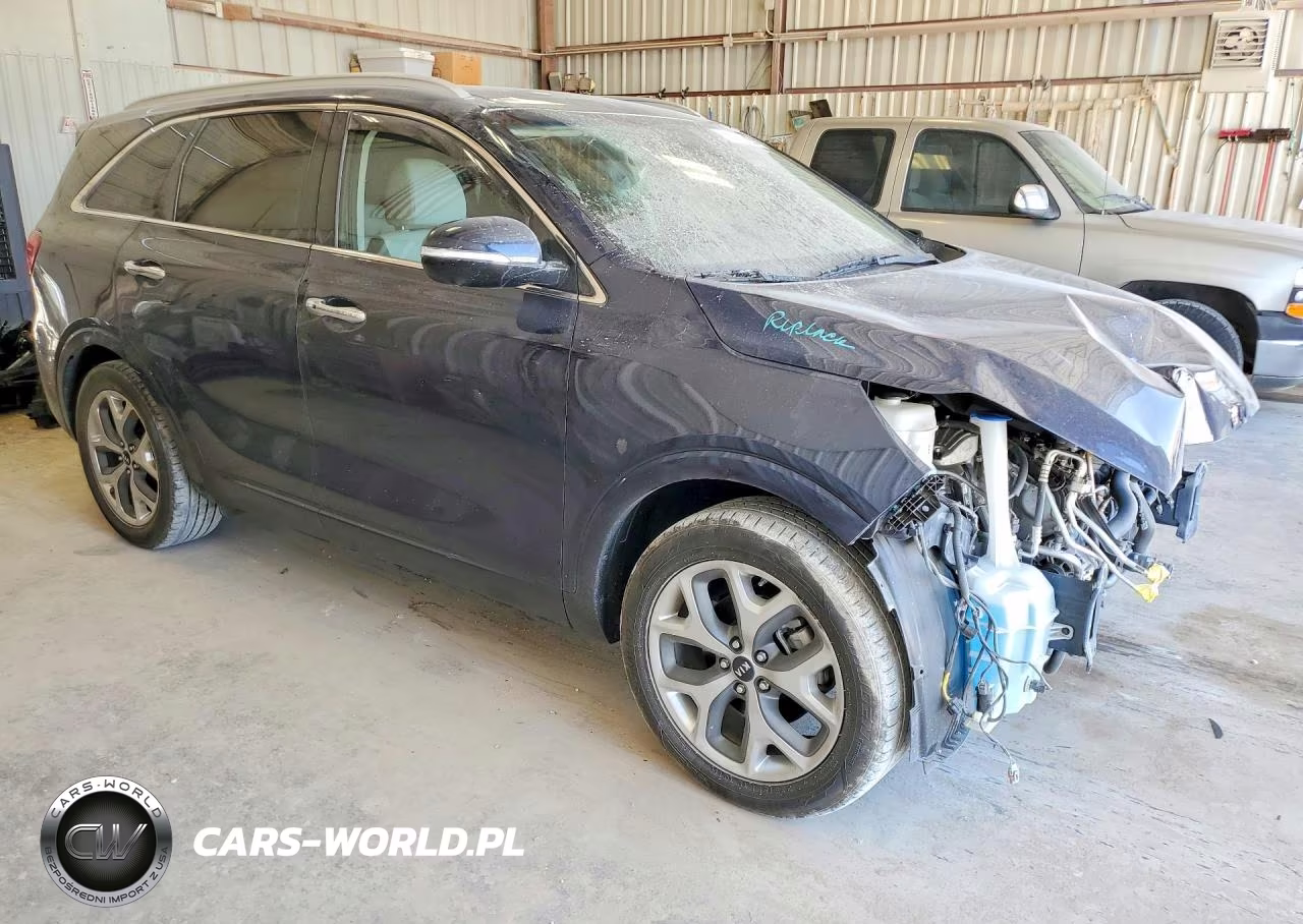 2020 Kia Sorento Sx VIN:5XYPK4A54LG696421 - 4