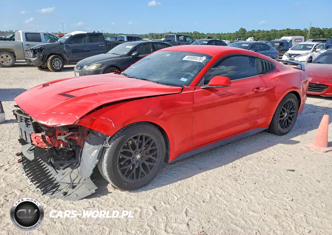 2019 Ford Mustang