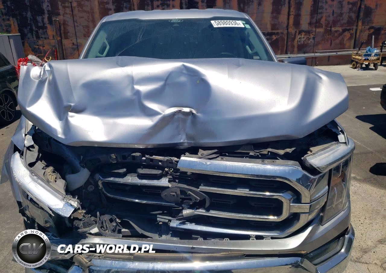 2021 Ford F150 Supercrew VIN:1FTFW1E55MFA73967 - 11