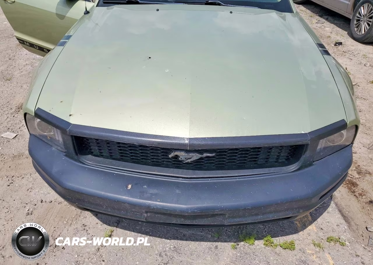 2005 Ford Mustang VIN:1ZVFT80NX55246038 - 11