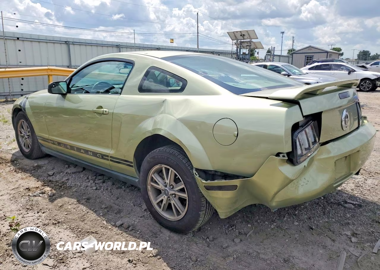 2005 Ford Mustang VIN:1ZVFT80NX55246038 - 2