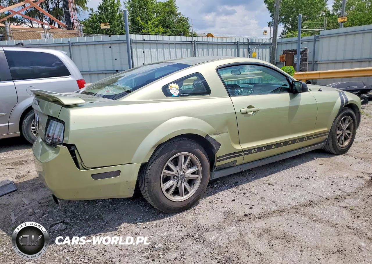 2005 Ford Mustang VIN:1ZVFT80NX55246038 - 3