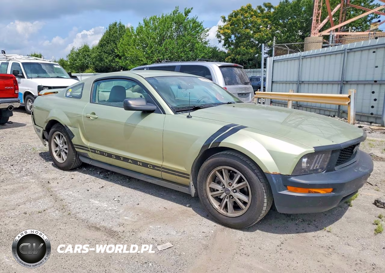 2005 Ford Mustang VIN:1ZVFT80NX55246038 - 4