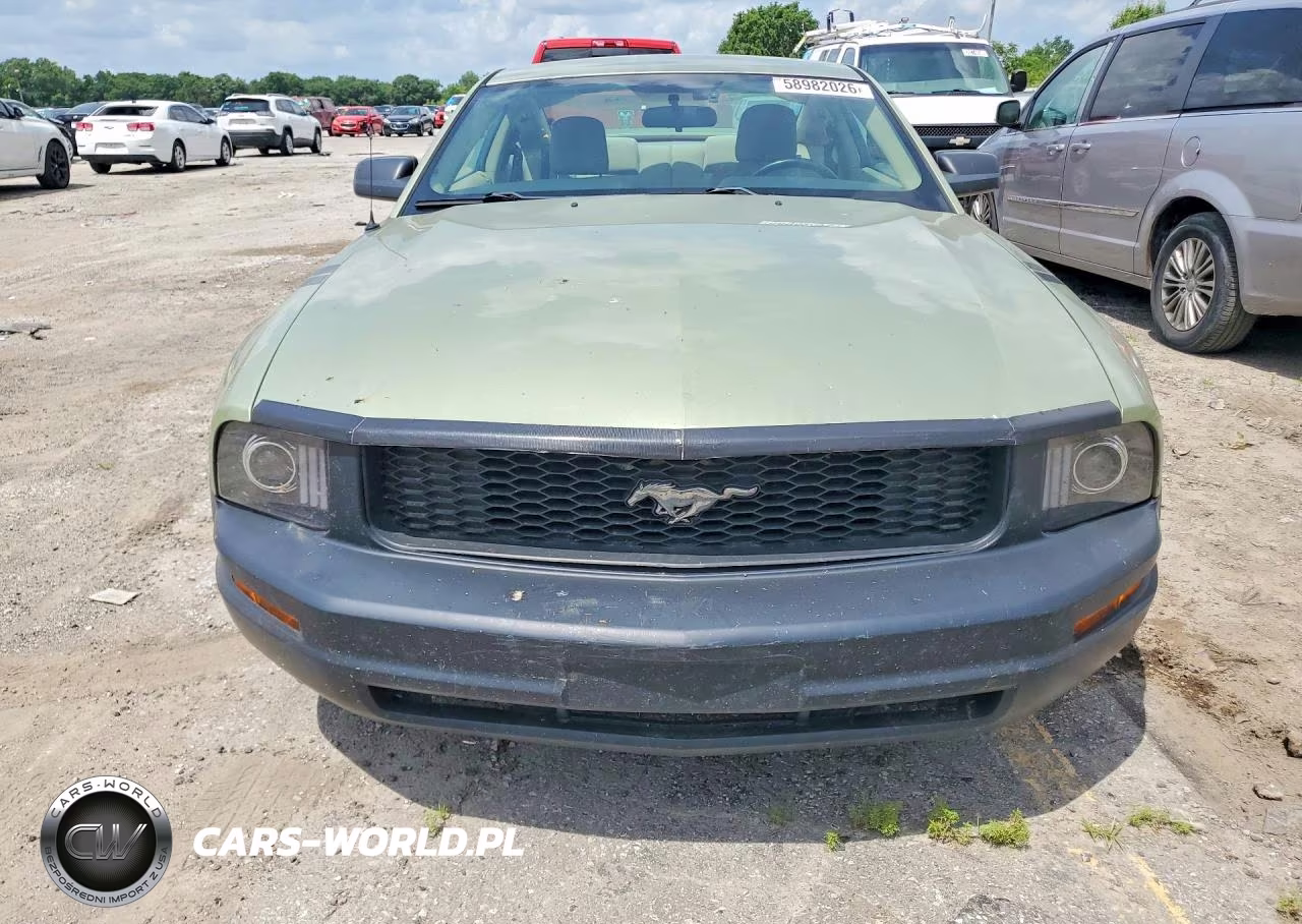 2005 Ford Mustang VIN:1ZVFT80NX55246038 - 5