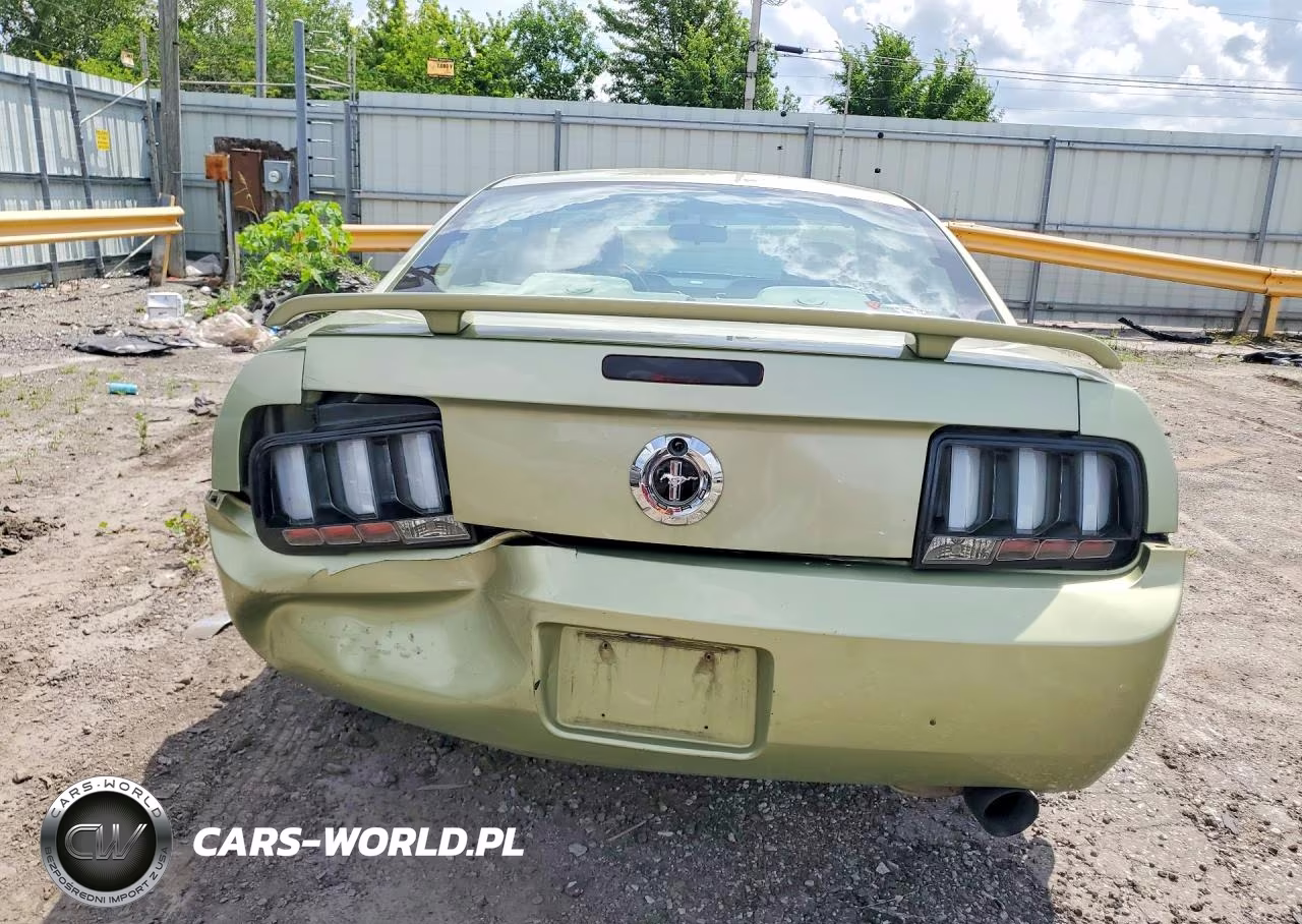 2005 Ford Mustang VIN:1ZVFT80NX55246038 - 6