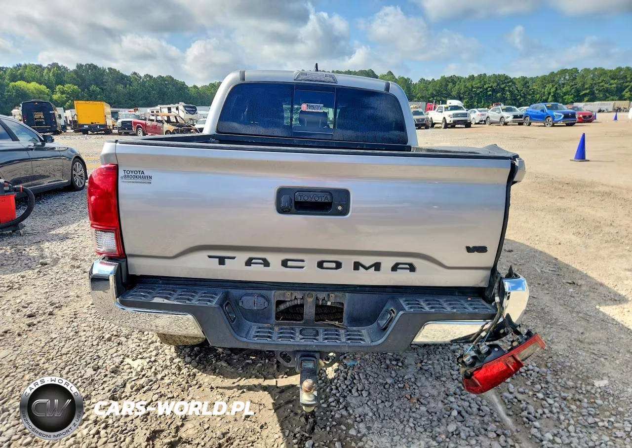 2019 Toyota Tacoma Trd Off-Road VIN:3TMCZ5AN9KM239301 - 6