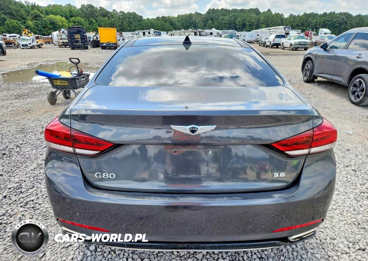 2018 Genesis G80 3.8 VIN:KMHGN4JE7JU238211 - 6