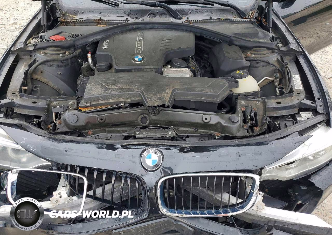 2014 BMW 428 Xi VIN:WBA3N9C53EK245202 - 11