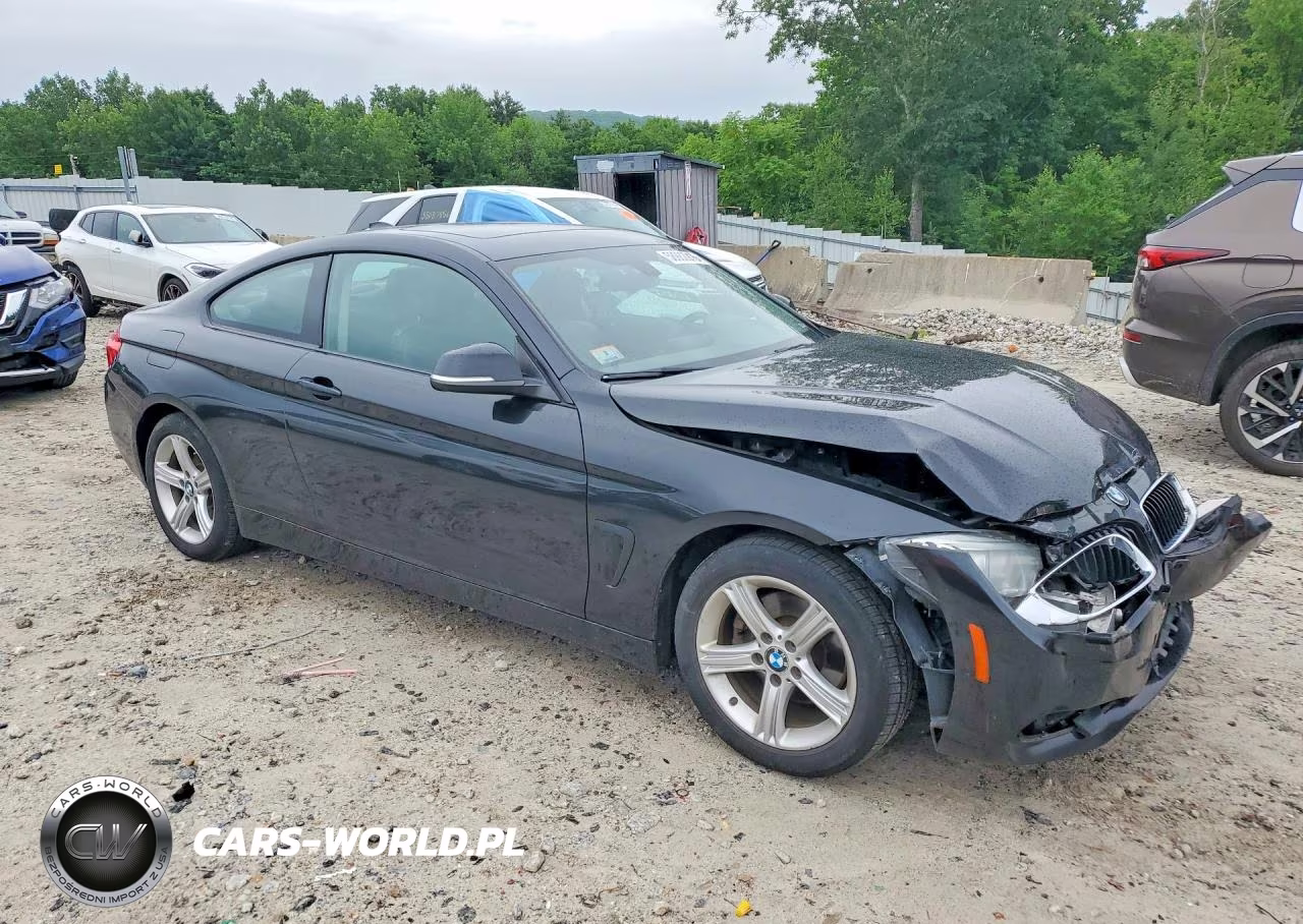 2014 BMW 428 Xi VIN:WBA3N9C53EK245202 - 4