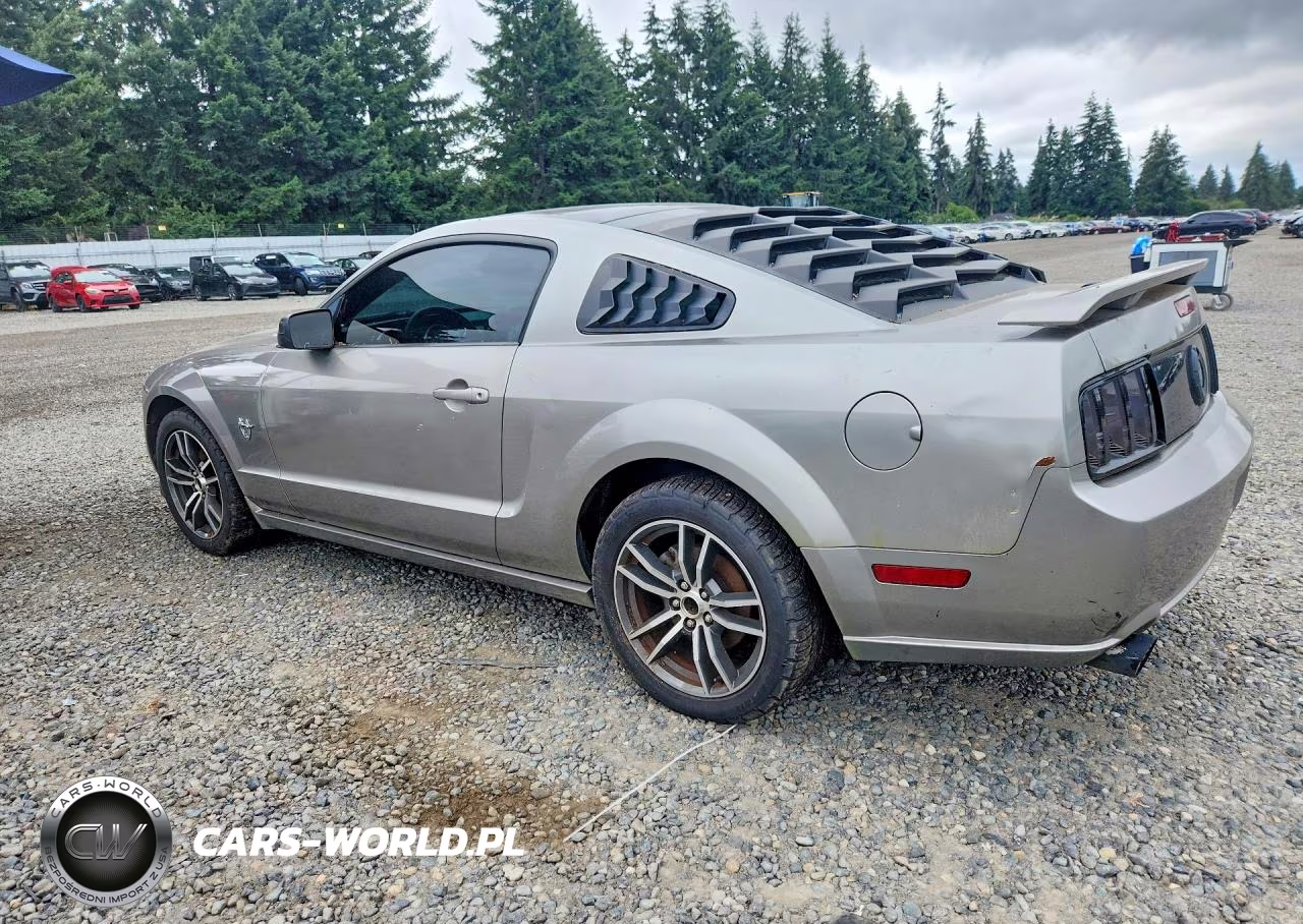 2009 Ford Mustang Gt VIN:1ZVHT82H695110558 - 2