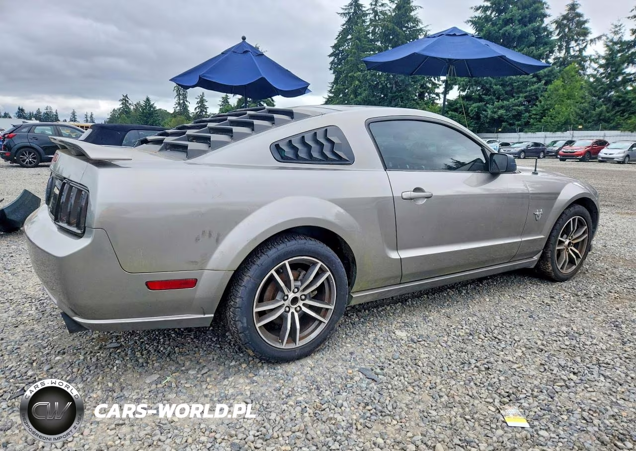 2009 Ford Mustang Gt VIN:1ZVHT82H695110558 - 3