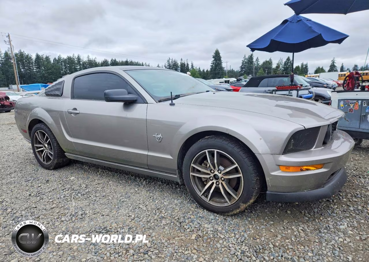 2009 Ford Mustang Gt VIN:1ZVHT82H695110558 - 4