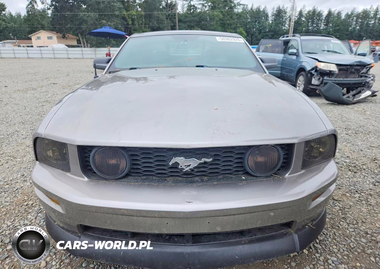 2009 Ford Mustang Gt VIN:1ZVHT82H695110558 - 5